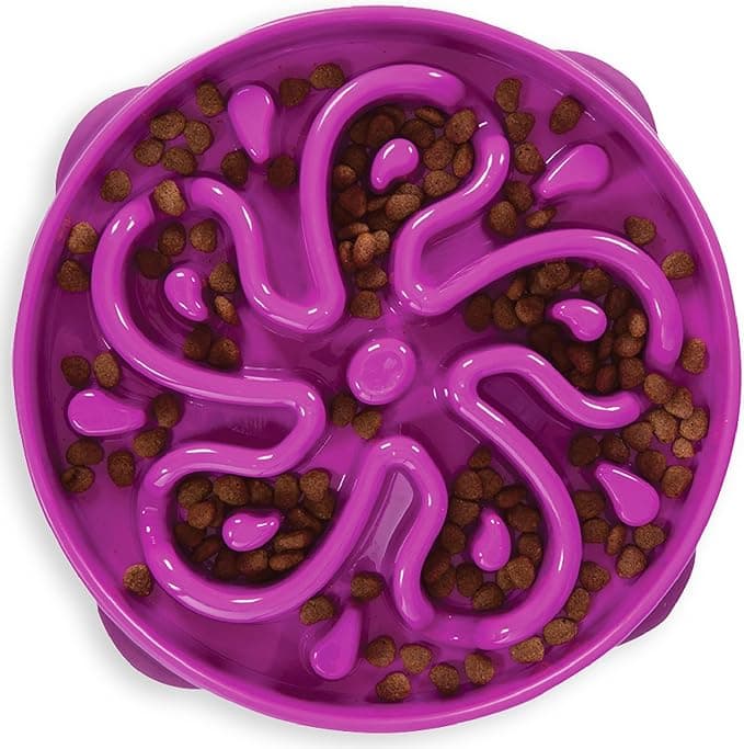 Outward Hound Large Slow Feeder Bowl, Puzzle Maze for Fast Eaters, Medium to Large Dogs, Helps Prevent Bloat &amp; Aid Digestion, Holds 4 Cups Wet or Dry Food, Non-Slip, Made Without BPA, Purple