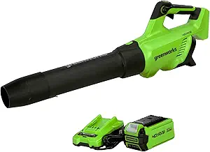 Greenworks 40V (120 MPH / 500 CFM) Leaf Blower, for damp autumn leaves, spring pollen, summer grass clippings, and winter debris across driveways, patios, Includes 2.5Ah Battery and Charger