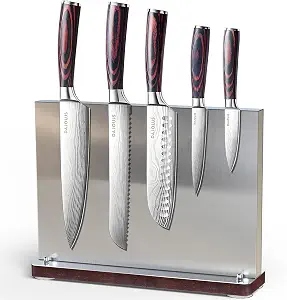 Kitchen Knife Set with Block - 6 Pcs Chef Knife Block Set, 5 Pcs High - Carbon Stainless Steel Razor - Sharp Knives with a Magnetic Knife Block Holder, Versatile and Professional Kitchen Knives Set