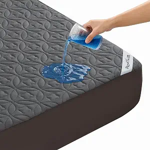 Waterproof Mattress Protector Queen, Noiseless Mattress Pad