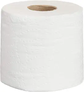Amazon Basics 2-Ply Ultra Plus Individually Wrapped Toilet Paper, White, Septic Safe, Compatible with Standard Dispensers, 400 Sheets per Roll (24 Rolls), 4.1 x 3.6 Sheet (Previouly AmazonCommercial)