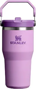 STANLEY IceFlow 2.0 Flip Straw Tumbler, 20 oz, Lilac