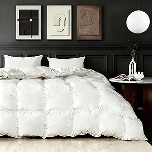Feather Down Fiber Comforter Queen Size,Premium Ultra-Soft Breathable Comforter High Fill Power White Duvet Insert,All Season Hotel Luxury Bedding Comforters 8 Corner & Center Loops,Baffle Box Design