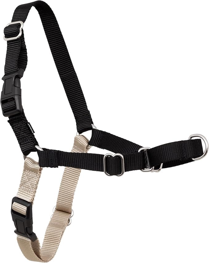 PetSafe Easy Walk Harness for Dogs - Pull-Free Walks - Patented Martingale Loop Design - Front Chest Leash Attachment - Comfort Straps - Breathable Harness Design - Small, Black/Silver