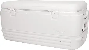 Igloo Hard Cooler | Polar & Party Bar Series | Insulated Ice Chests